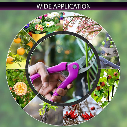 Flower Cutter Garden Scissors Stainless Steel Pruner Soft Grip (1 Pc)