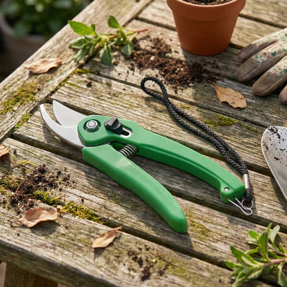 Cisora garden shears shown as a versatile tool for various gardening tasks.